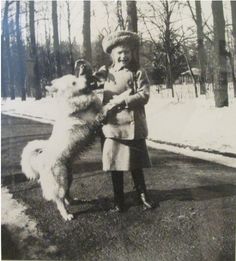 pets 5