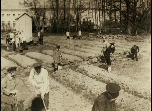 Russian imperial family and their suite working in a garden outside of the Alexander Palace during their house arrest after the Russian revolution broke out.