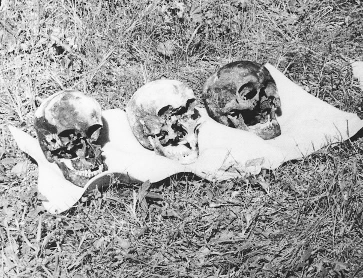 Skulls of the members of the Romanov family and their retinue, including that of Nicholas II 