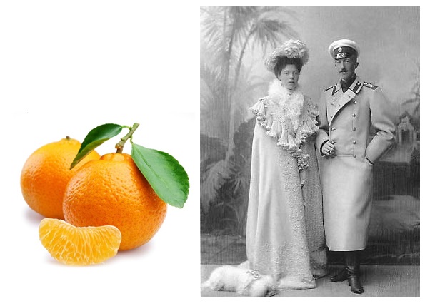 Grand Duke Peter of Olderburg, the first husband of Grand Duchess Olga Alexandrovna, sister of Tsar Nicholas II, was the Romanov family member who introduced mandarin oranges into Russia. 